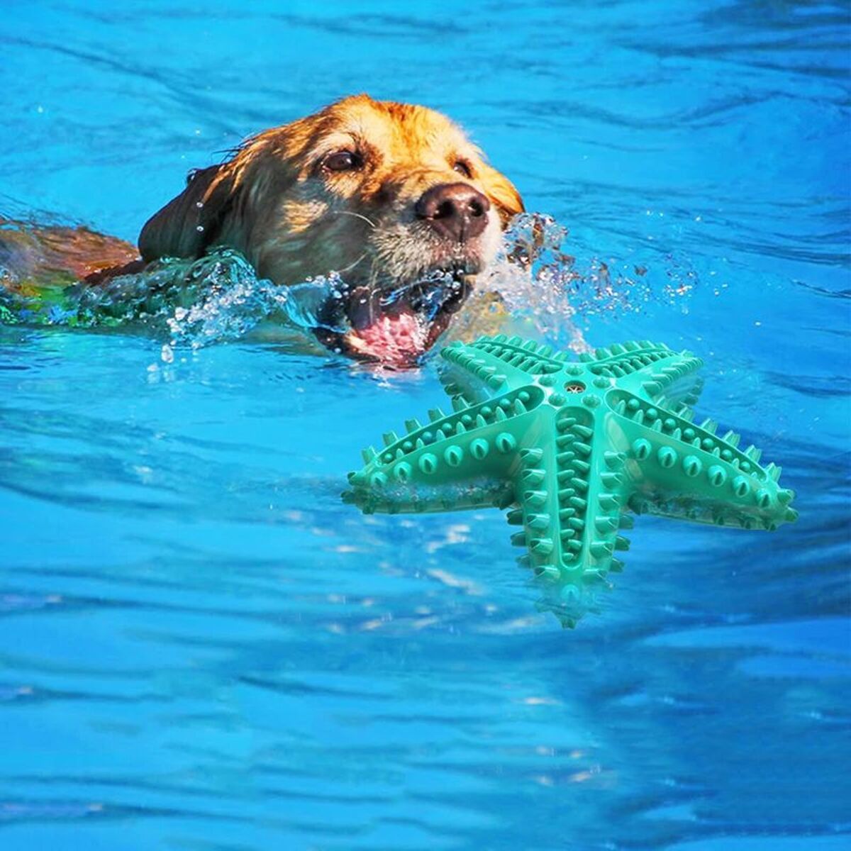 Dog Toys For Large Dogs Tooth Cleaning